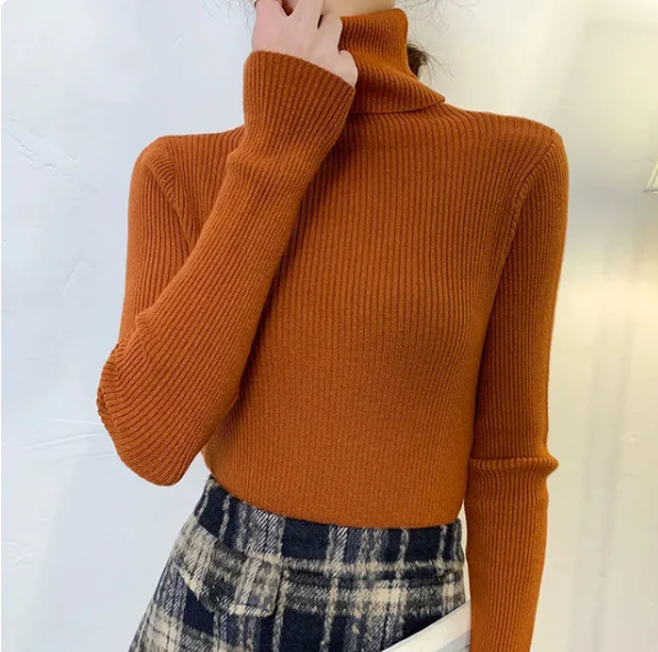 Helen Knitted Turtleneck Sweater